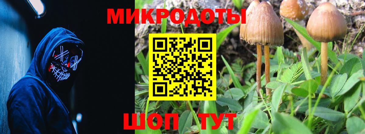 Псилоцибиновые грибы MAGIC MUSHROOMS  Псилоцибиновые грибы мицелий  Вход с VPN  Урус-Мартан 